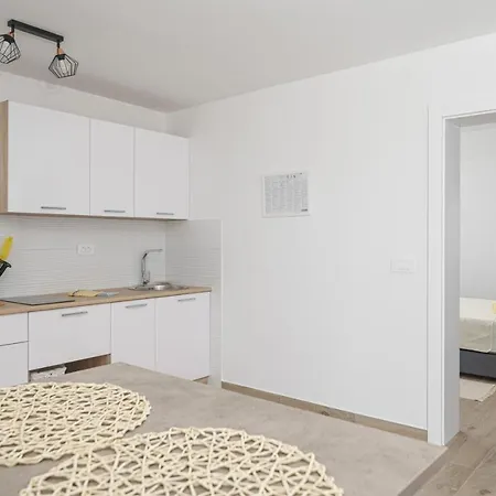 Apartment New Exclusive