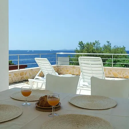 New Exclusive * Murter